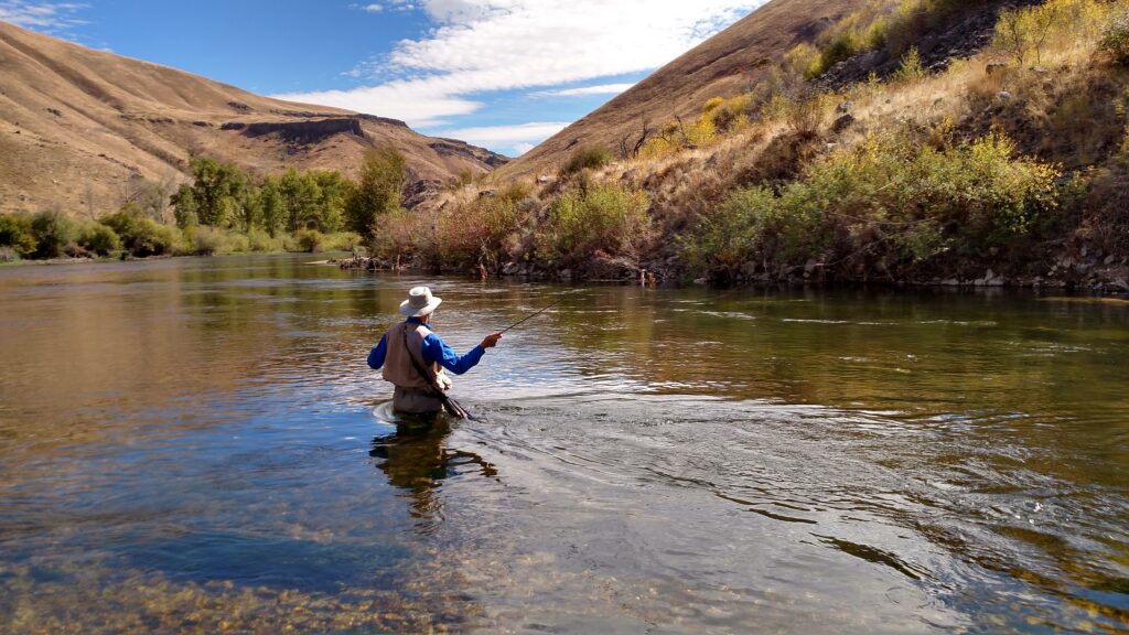 Fly fishing for beginners